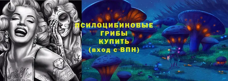 Галлюциногенные грибы Psilocybe  Мураши 